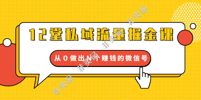 12堂私域流量掘金课：打通私域４大关卡，从０做出Ｎ个赚钱的微信号【完结】插图