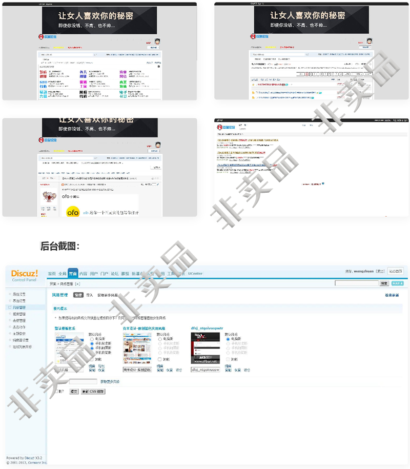 点睛网赚论坛整站程序+全套数据插图