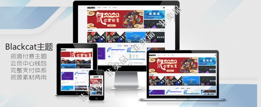 WordPress 资源站主题Blackcat V2.2付费会员制插图